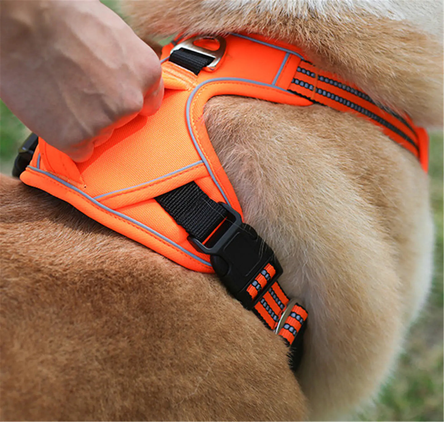 Durable Waterproof Pet Harness β Reflective Oxford Vest with Handle (All Sizes)