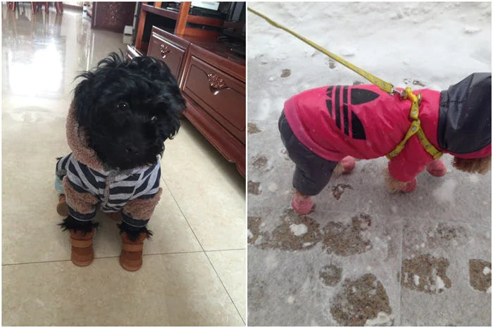 Cozy Cotton Pet Shoes β Non-Slip Winter Boots