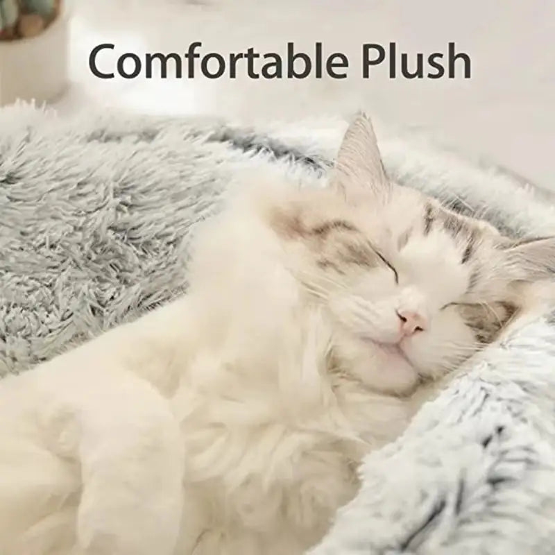 Winter Plush Cat Bed β 2-in-1 Warm Nest & Sleeping Bag for Cats & Small Dogs