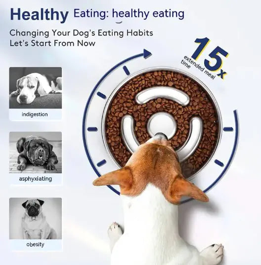 Slow Feeding Bowl β Stainless Steel Anti-Choke Pet Dish