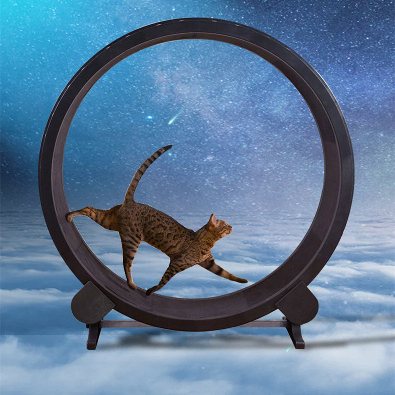 Premium Cat Running Wheel β Indoor Exercise Fitness Toy