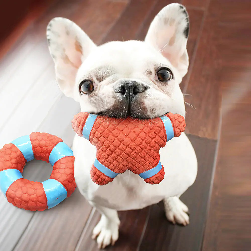 Latex Dog Chew Toys β Puppy Teething Starfish & Lifebuoy (2pcs)