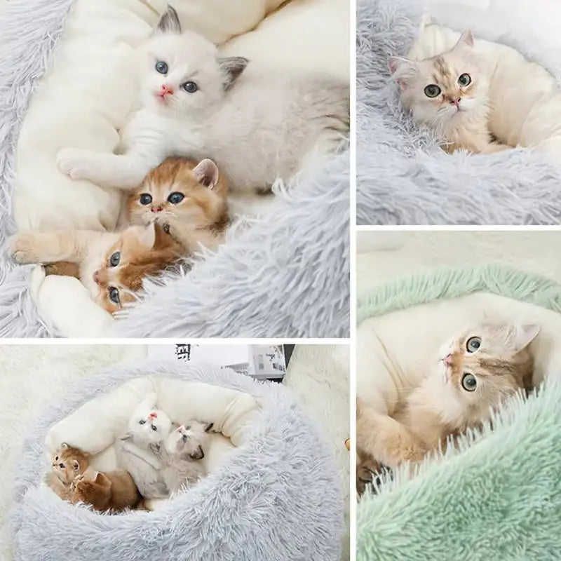 Winter Plush Cat Bed – 2-in-1 Warm Nest & Sleeping Bag for Cats & Small Dogs