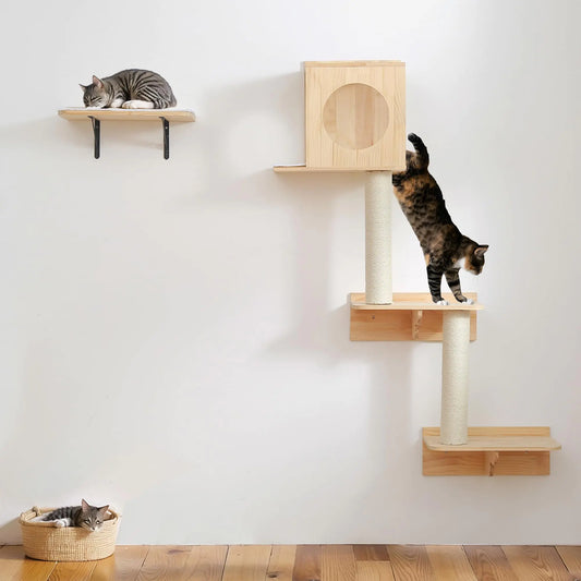 Skyline Cat Climber