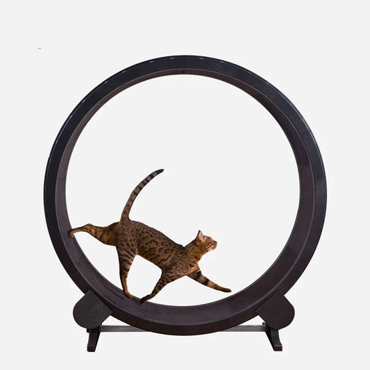Premium Cat Running Wheel – Indoor Exercise Fitness Toy